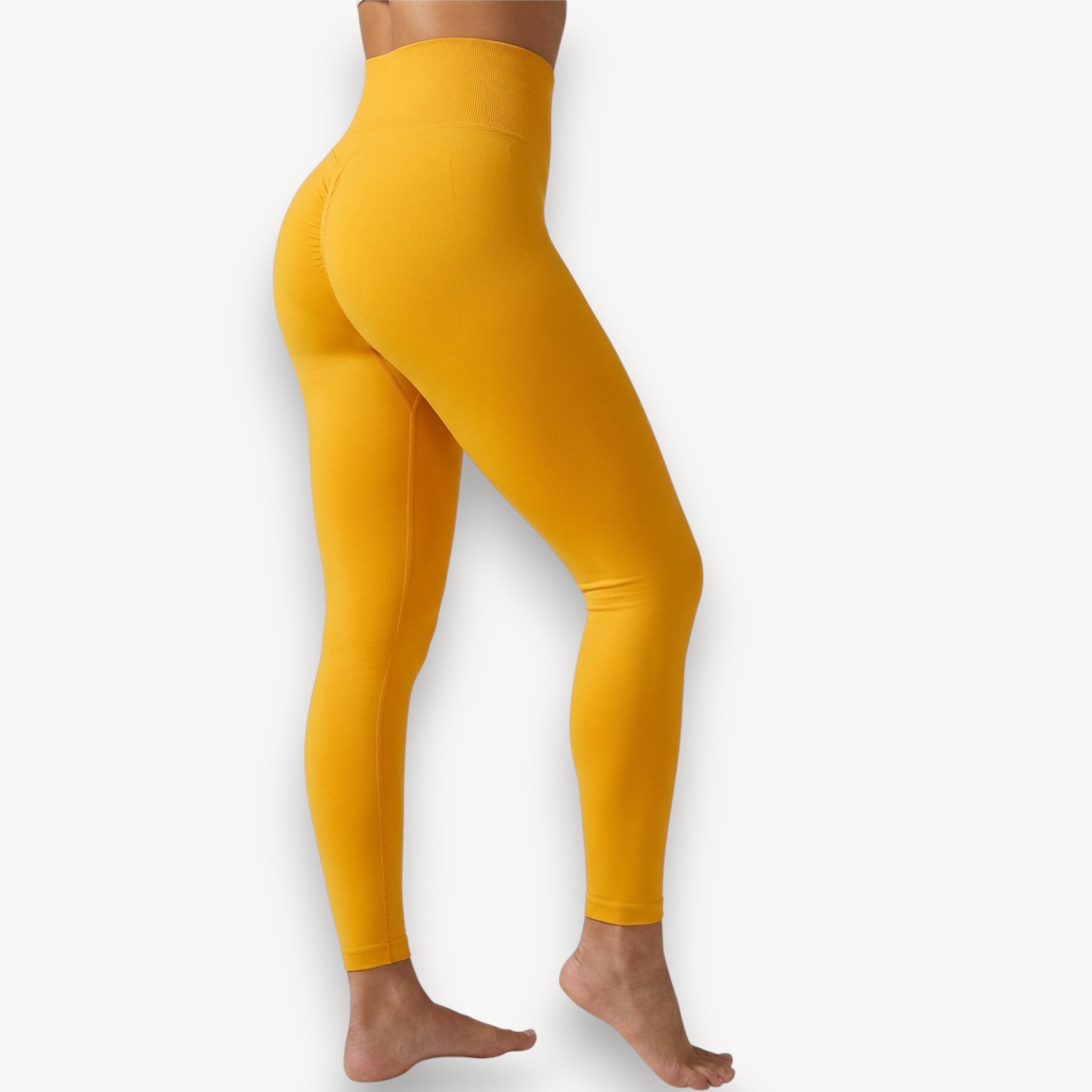 Lift Curve Scrunch Leggings